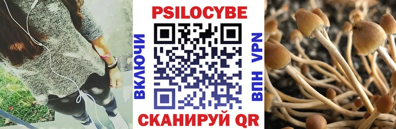 Псилоцибиновые грибы Magic Shrooms  где купить наркотик  Лысьва 